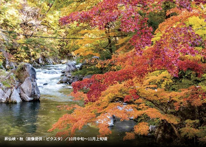 楓紅昇仙峽