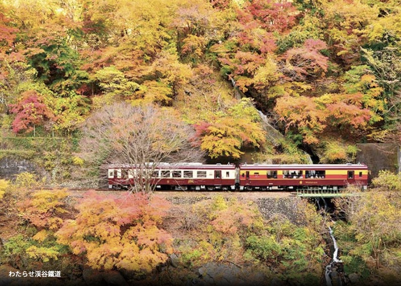 紅葉小火車