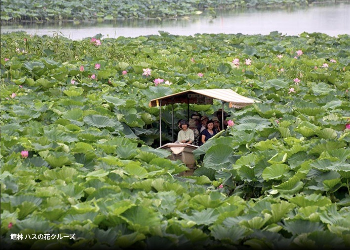 蓮花叢林遊船