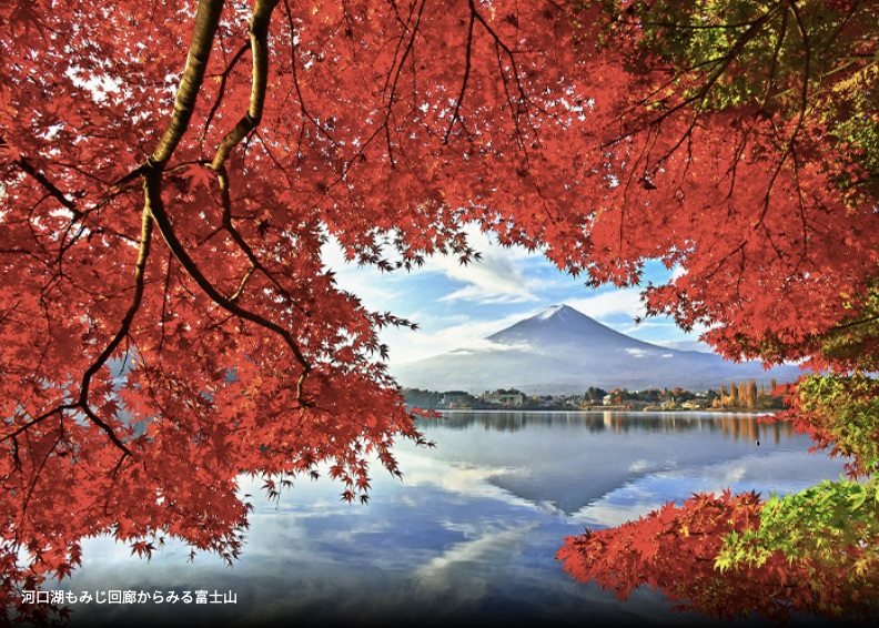 河口湖楓葉迴廊